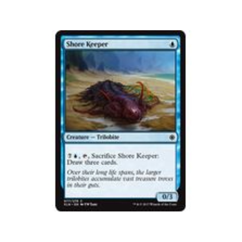 Magic The Gathering - Shore Keeper  - Common - XLN077
