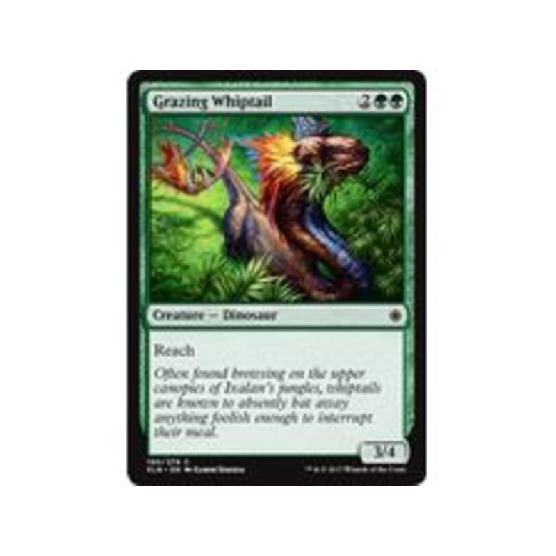 Magic The Gathering - Grazing Whiptail - Common - XLN190