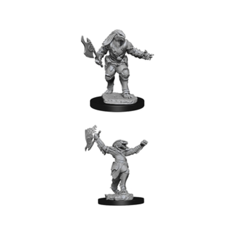 Wizkids - Dungeons and Dragons - Nolzurs Marvellous Miniatures - Female Dragonborn Fighter - 90001