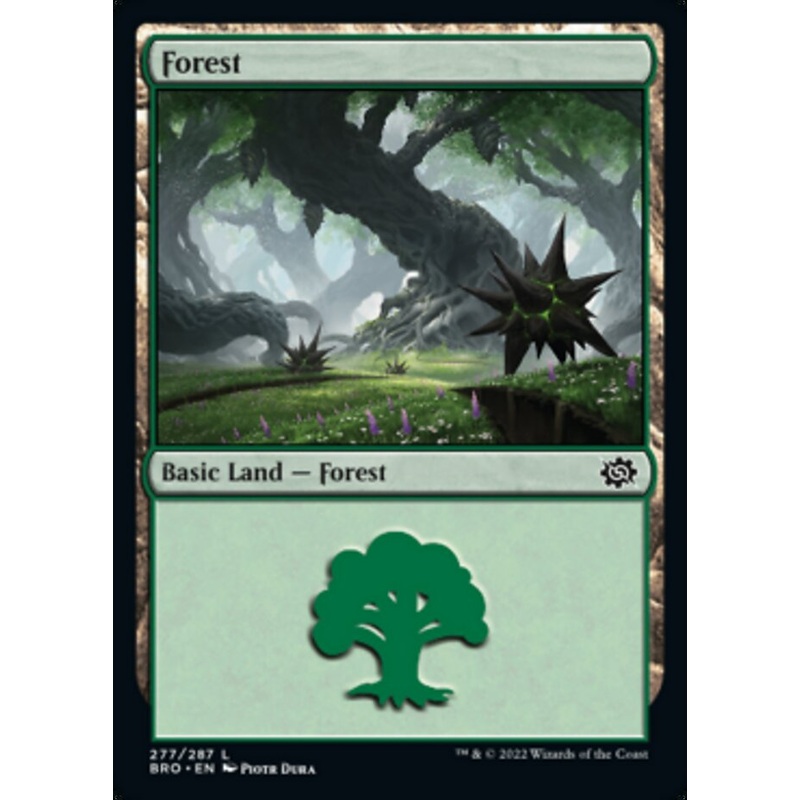 Forest (277) [The Brothers' War]