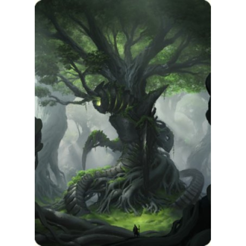 Forest Art Card [The Brothers' War Art Series]