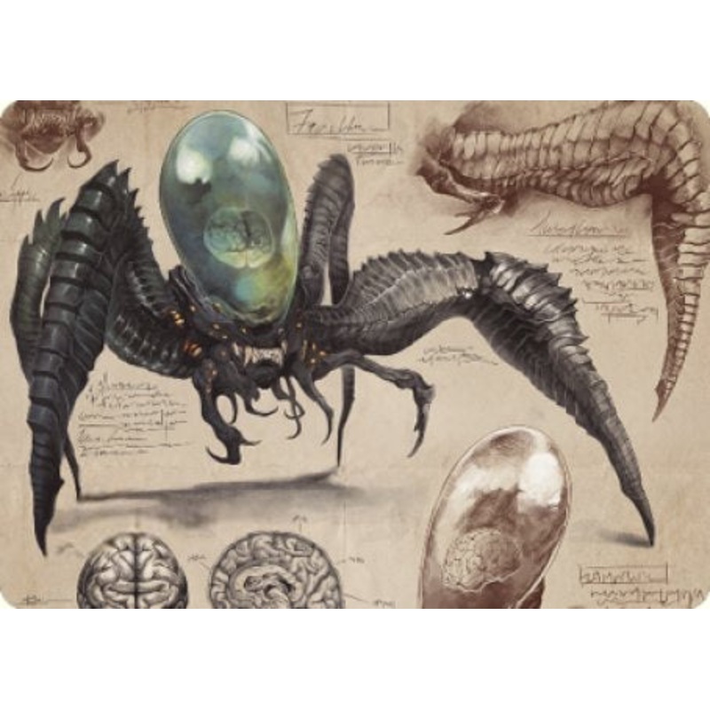 Psychosis Crawler Art Card [The Brothers' War Art Series]