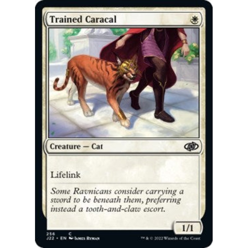 Trained Caracal [Jumpstart 2022]