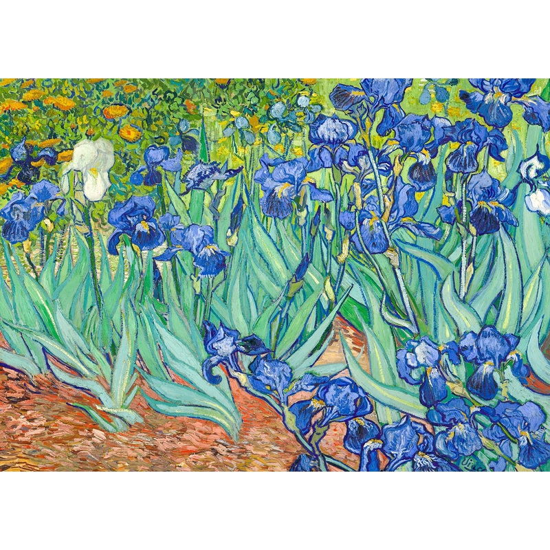 1000 Piece Puzzle For Adults Irises Puzzles For Adults 1000 Piece Classic Artwork By Vincent Van Gogh Jigsaw Puzzles 1000 Pieces