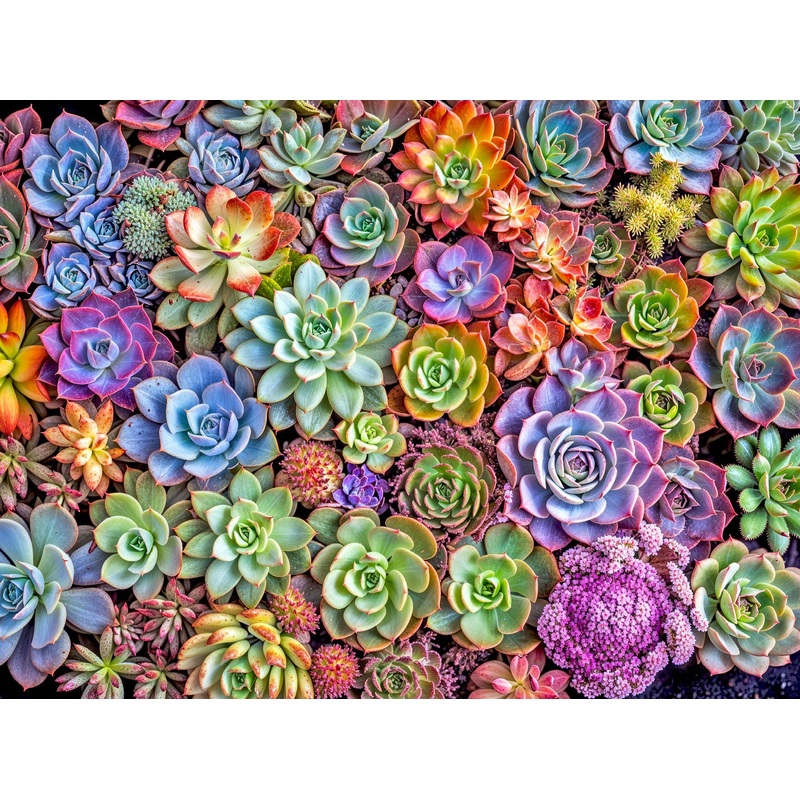 Lucky Puzzles Green Thumb Gala | 500 Piece Jigsaw Puzzle For Adults | Premium Quality | Colorful Artwork Puzzle | Brain Teasing