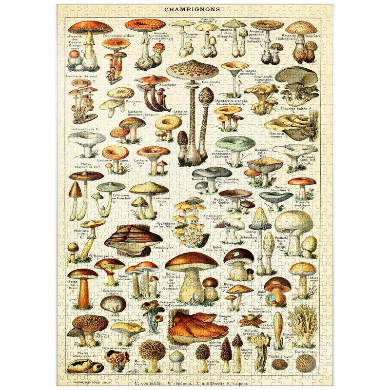 Mypuzzle Champignons - Mushrooms For All, Vintage Art Poster, Adolphe Millot - Premium 1000 Piece Jigsaw Puzzle For Adults