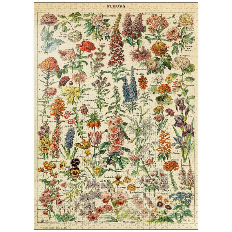 Mypuzzle Fleurs - Flowers For All, Vintage Art Poster, Adolphe Millot - Premium 1000 Piece Jigsaw Puzzle For Adults