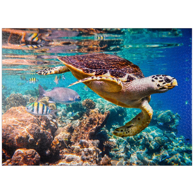 Mypuzzle Hawksbill Turtle Maldives - Premium 1000 Piece Jigsaw Puzzle For Adults