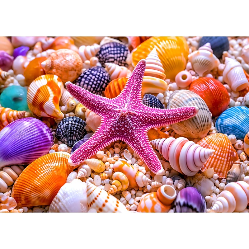 1000 Piece Puzzle For Adults Beach Colorful Shells Jigsaw Puzzles 1000 Pieces With Letters On Back Hard Impossible Difficult Cha