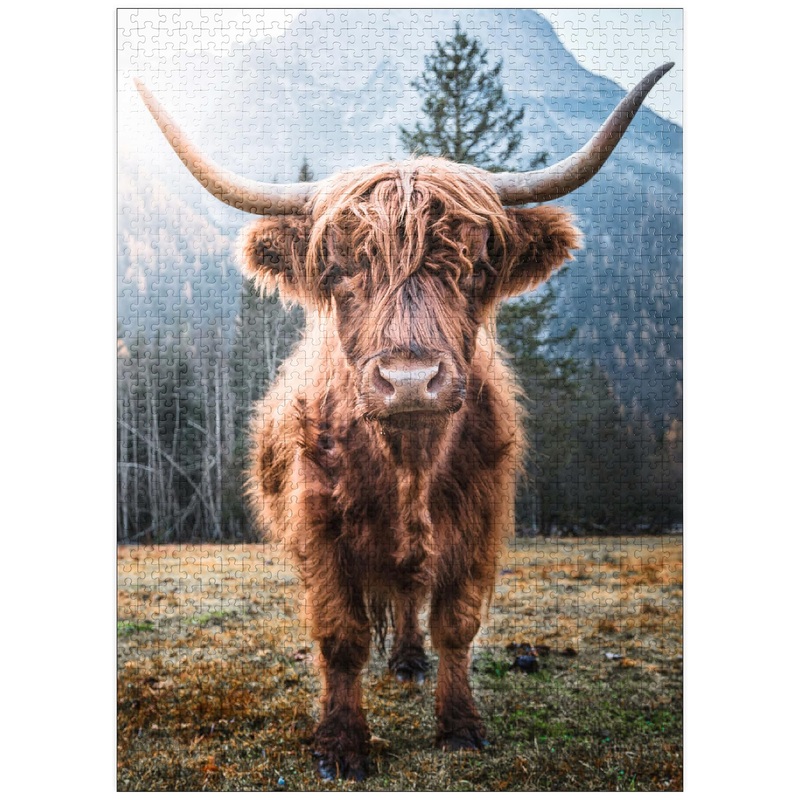 Mypuzzle Highland Cattle In The Italian Dolomites - Premium 1000 Piece Jigsaw Puzzle For Adults