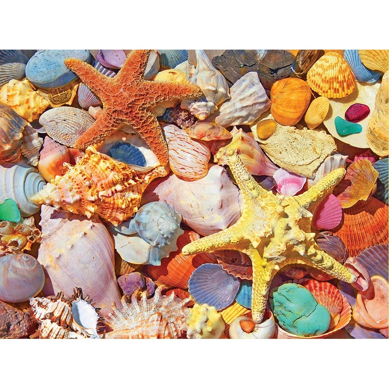 White Mountain Puzzles Beach Shells - 500 Piece Jigsaw Puzzle