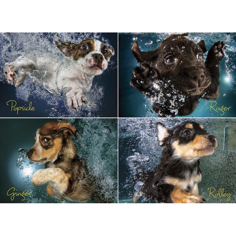 Willow Creek Press Underwater Puppies Jigsaw Puzzle (1000-Piece)