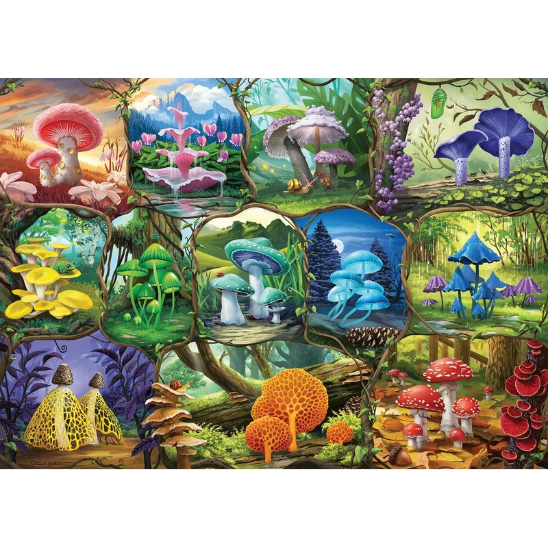 Ravensburger Beautiful Mushrooms 1000 Piece Jigsaw Puzzle For Adults - 17312 - Every Piece Is Unique, Softclick Technology Means Pieces Fit Together Perfectly