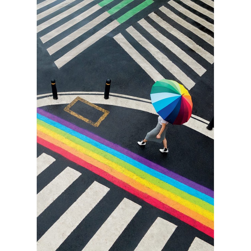 Buffalo Games - Virro & Lola - Black White Rainbow - 300 Piece Jigsaw Puzzle For Adults -Challenging Puzzle Perfect For Game Nights - Finished Size Is 21.25 X 15.00