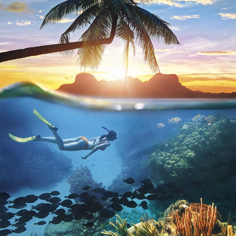 Buffalo Games - Into The Blue - 300 Large Piece Jigsaw Puzzle