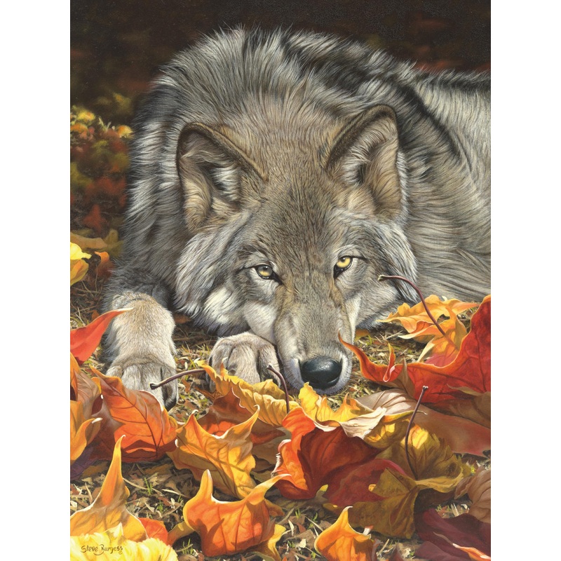 Ceaco - Wolf'S Contemplation - 500 Piece Jigsaw Puzzle