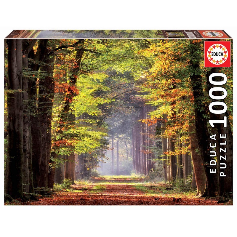 Educa - Fall Walkway - 1000 Piece Jigsaw Puzzle - Puzzle Glue Included - Completed Image Measures 26.8'' X 18.9'' - Ages 14+ (19