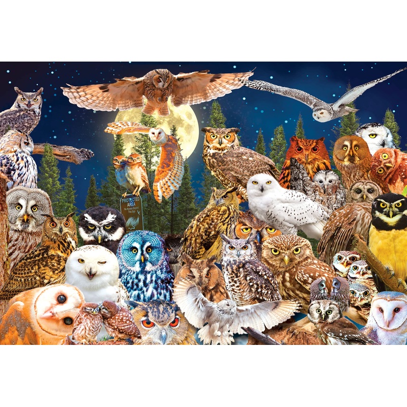 Roseart - Kodak Premium - Night Owls - 1500 Piece Jigsaw Puzzle For Adults