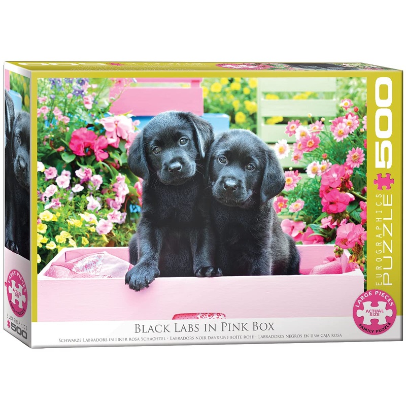 Eurographics Black Labs In Pink Box 500 Piece Puzzle