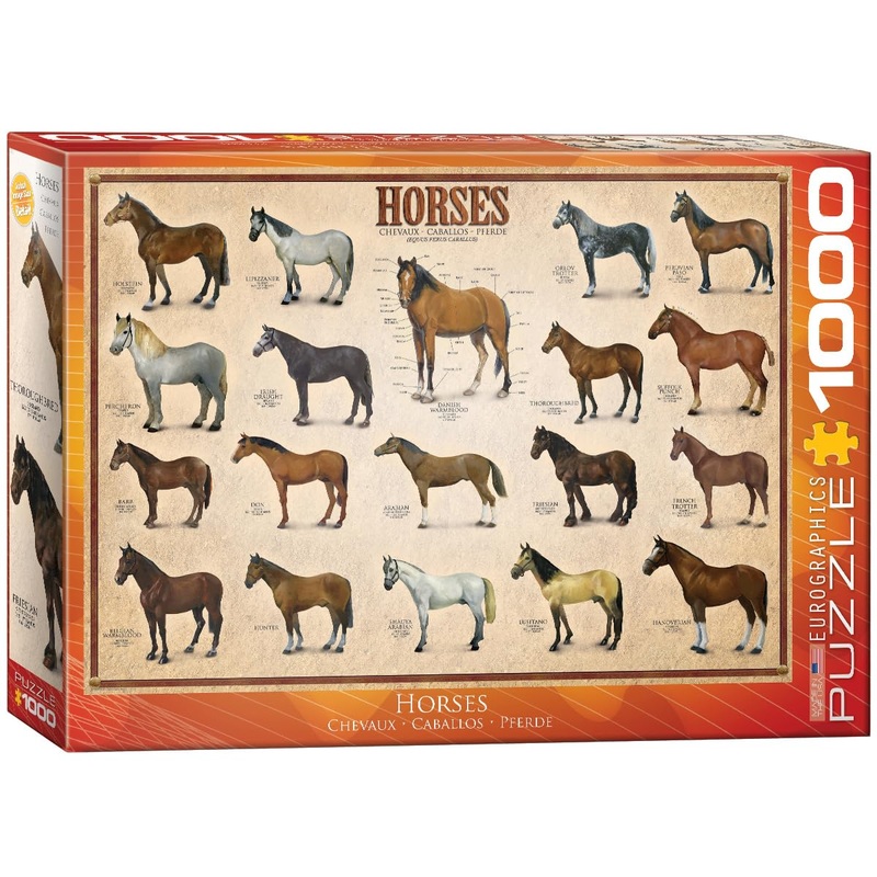 Eurographics Horses 1000 Piece Puzzle