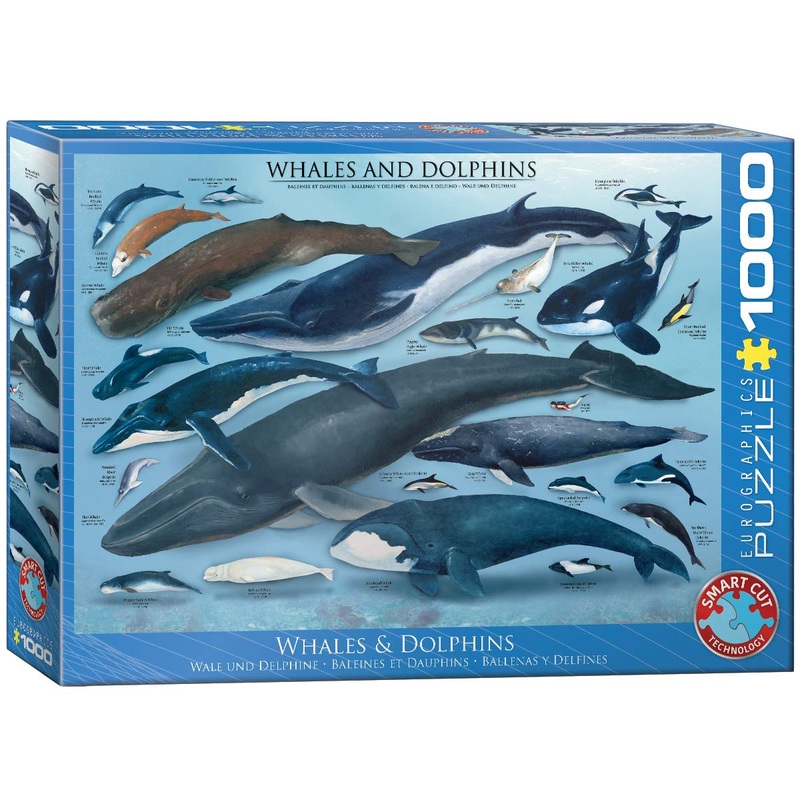 Eurographics Whales And Dolphins Puzzle (1000-Piece)