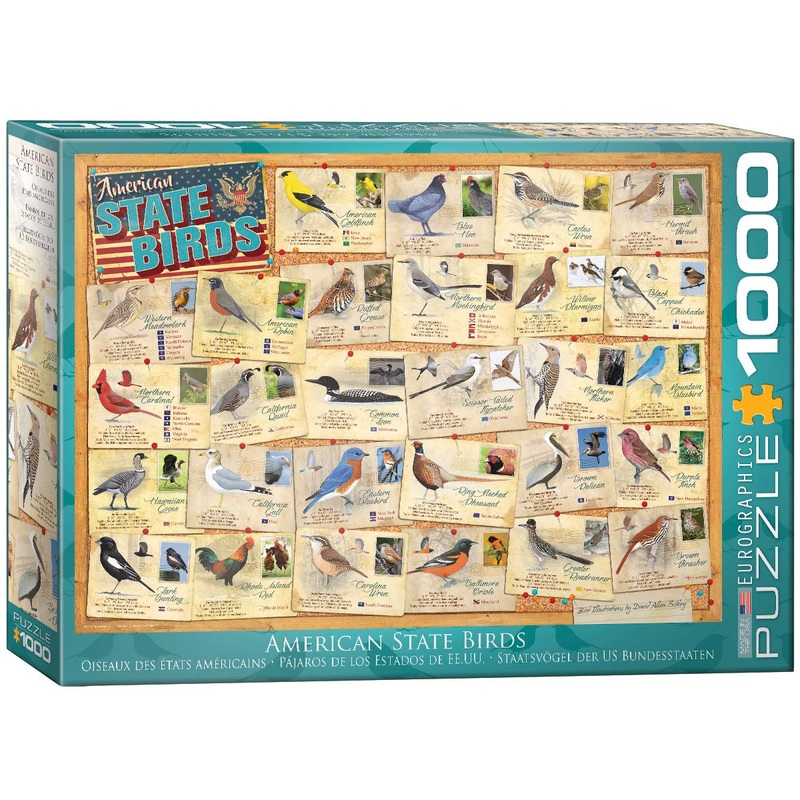 American State Birds By David Sibley