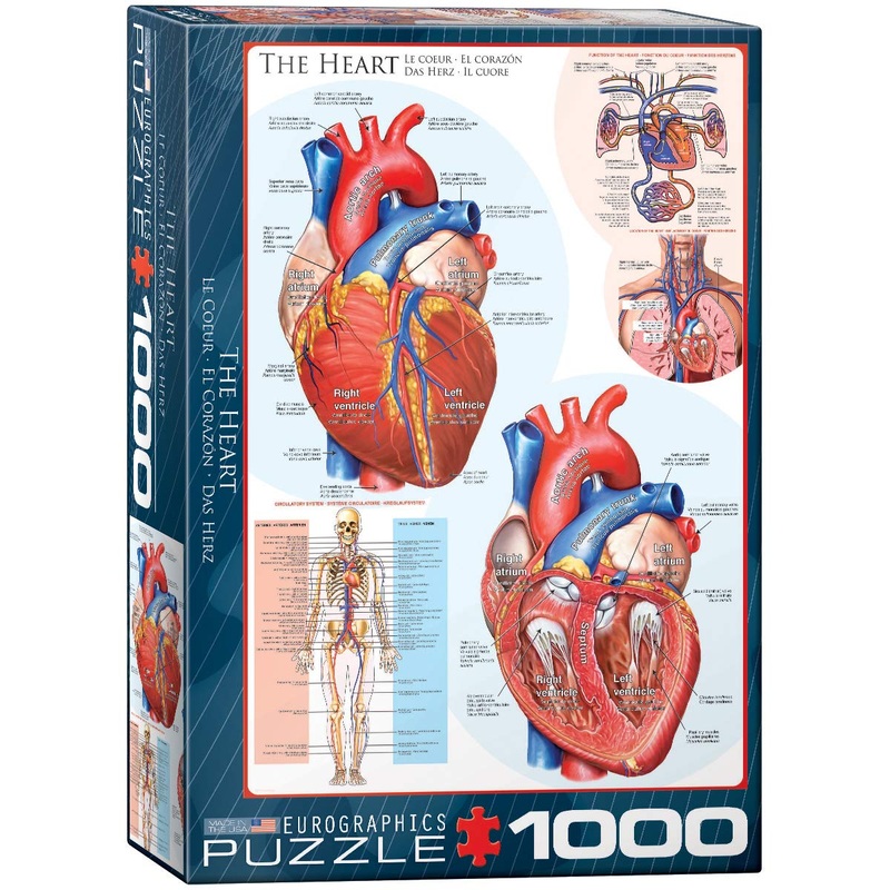 Eurographics Human Body (The Heart) Puzzle (1000-Piece) , Blue