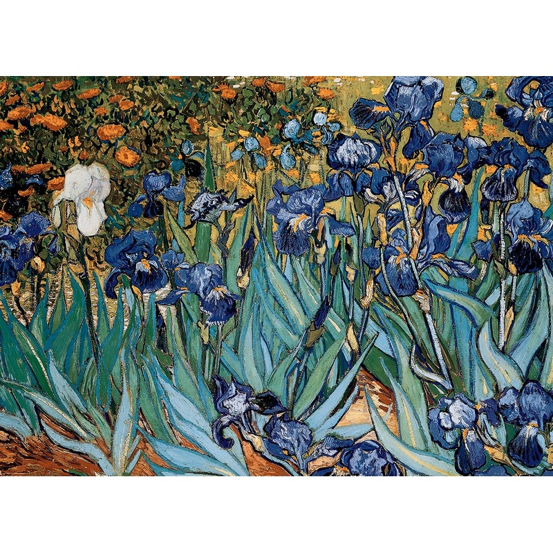 Eurographics Irises By Vincent Van Gogh Puzzle (1000-Piece) (6000-4364)