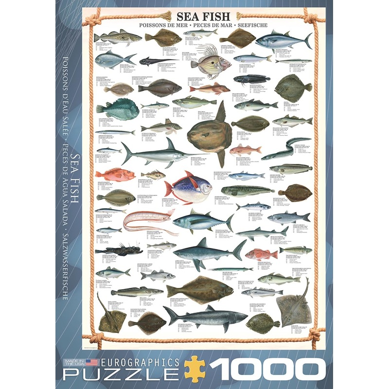 Eurographics Sea Fish 1000 Piece Puzzle (6000-0313)
