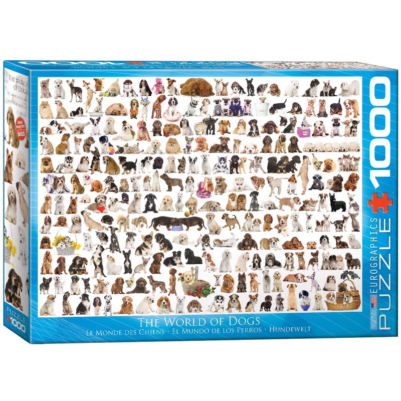 The World Of Dogs