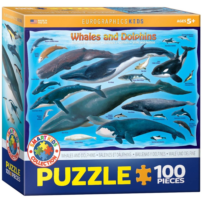 Whales & Dolphins 100 Piece Jigsaw Puzzle