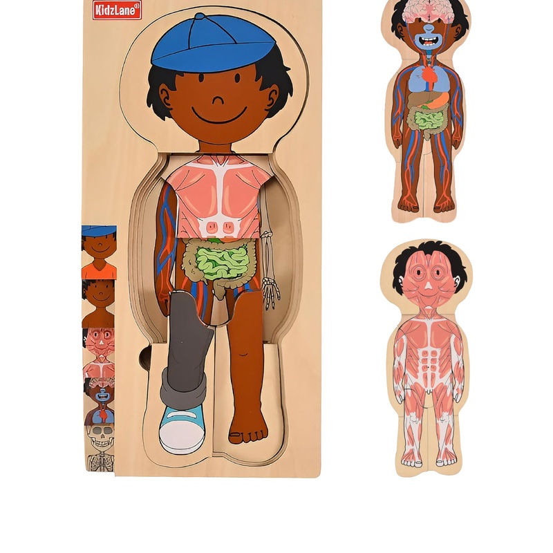 Kidzlane African American Boy Wooden My Body Puzzle For Toddlers And Kids - 29 Piece Girls Anatomy Puzzle Kid Play Set - Anatomy For Kids, Skeleton Toys For Kids Ages 3 Plus