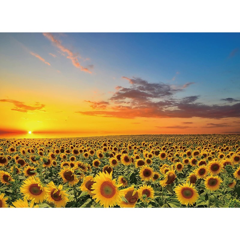 1000 Pieces Puzzles For Adults Sunflower Jigsaw Puzzles Flowers Floor Puzzle Kids Diy Toys For Creative Gift Home Decor