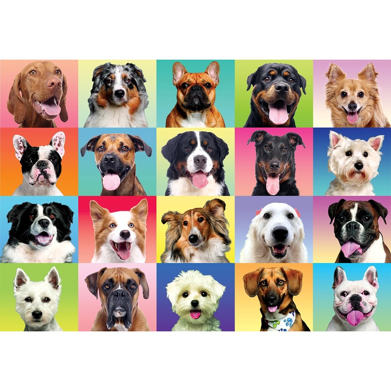Joyin 300 Pcs Multicolor Dogs Puzzles, Jigsaw Puzzle For Kids And Adults(29' X 21'), Puppy Theme Puzzles For Teens, Collection Gift Home Art Decor
