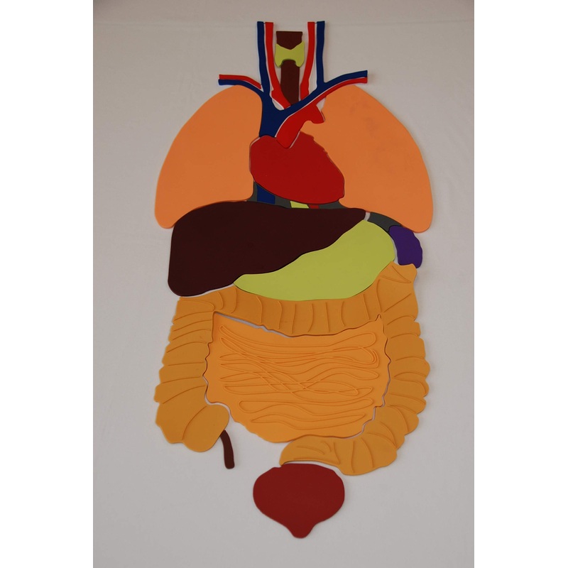 Everrich Organs Puzzles - 27.56' X 13.6' X 4 Mm