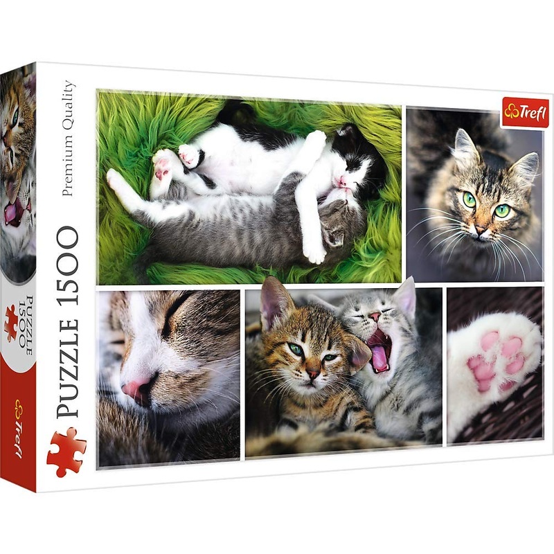 Trefl 1500 Piece Jigsaw Puzzle, Just Cat Things Collage, Pets, Cats And Kittens, Animal Collage, Adult Puzzles, 26145