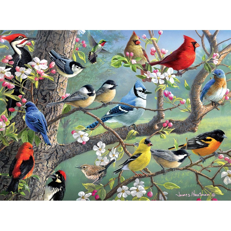 Buffalo Games - Hautman Brothers - Birds In An Orchard - 1000 Piece Jigsaw Puzzle