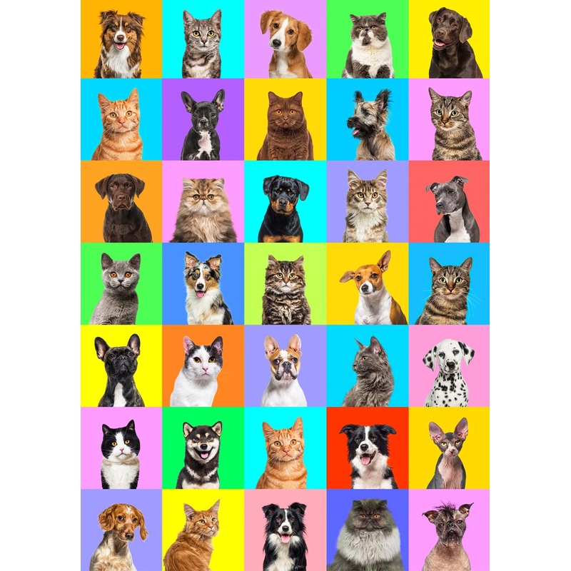 Jigsaw Puzzles For Adults 1000 Piece Puzzle For Adults 1000 Pieces Puzzle 1000 Pieces-Colourful Pets Collage