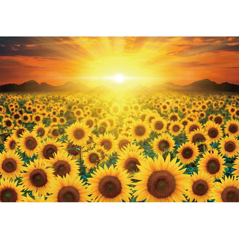 Chamberart 2000 Piece Premium Jigsaw Puzzle Golden Sunflower A-2018