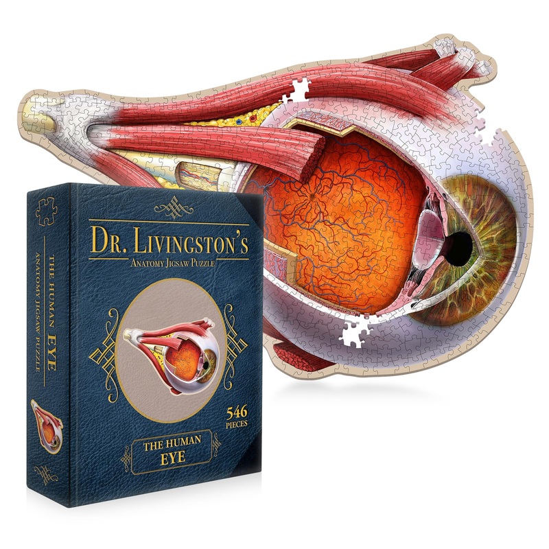 Dr. Livingston'S Human Eye Anatomy Puzzle - A Medically Accurate Jigsaw Puzzle Of The Human Eye - Educational Science Puzzles And Unique Gifts For Eye Doctors, Nurses And Medical Students