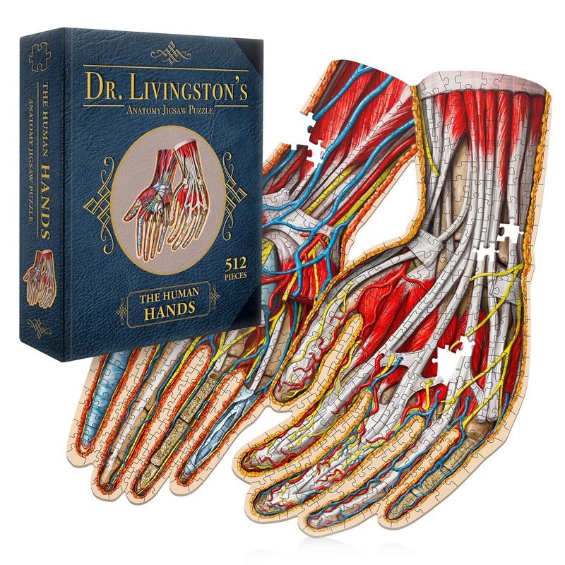 Dr. Livingston'S Human Hands Anatomy Puzzle - A Medically Accurate Jigsaw Puzzle Of The Hands - Educational And Engaging Toy About The Human Body - Unique Science Gift For Doctors, Nurses And Teachers