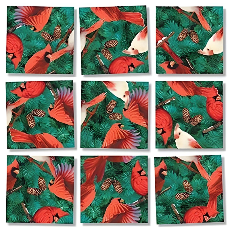 Scramble Squares Cardinals 9 Piece Challenging Puzzle - Ultimate Brain Teaser And Mind Game For Young And Senior Alike - Engaging And Creative With Beautiful Artwork - By B.Dazzle