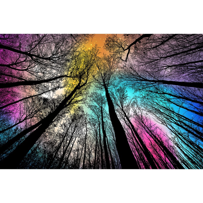 Bgraamiens Puzzle-Forest Under Starry Night-1000 Pieces Gradient Magic Colorful Puzzle For Adult,Hard Challenge Puzzle For Adult