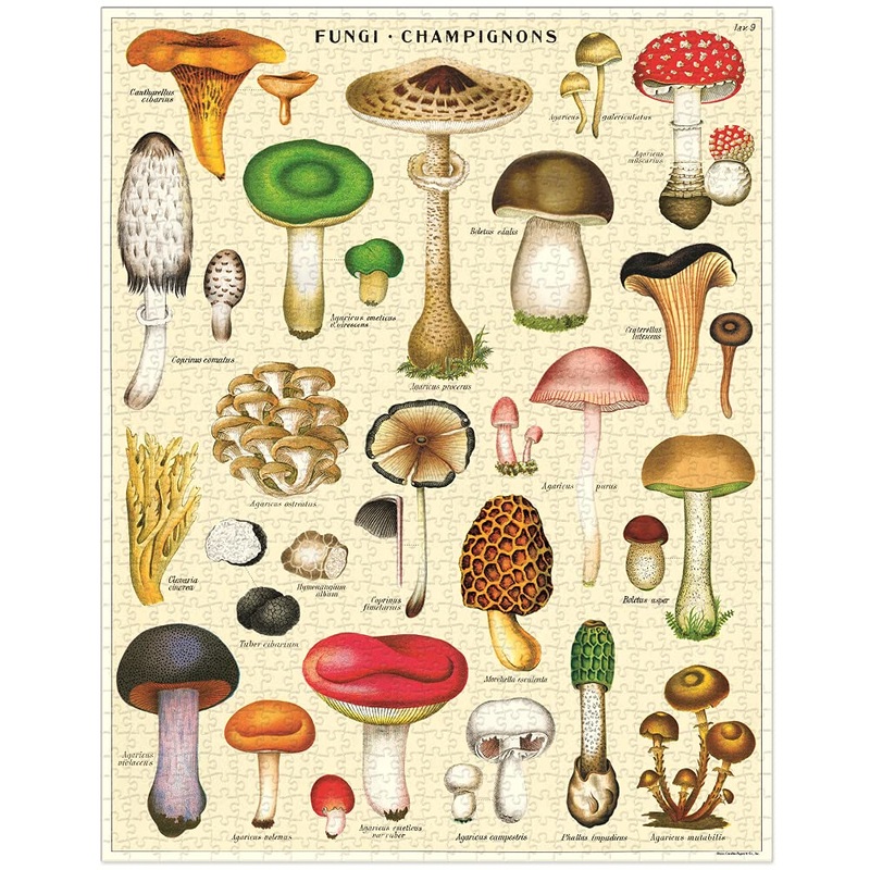 Cavallini & Co. 1000 Piece Vintage Puzzle, Mushrooms (Pzl/Mush)