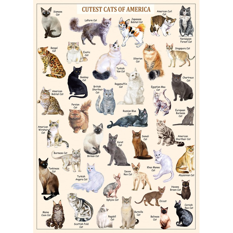Cat Puzzles For Adults 1000 Pieces And Up,Vintage Kitty Puzzles For Adults, Animal Feline Jigsaw Puzzle Kittens