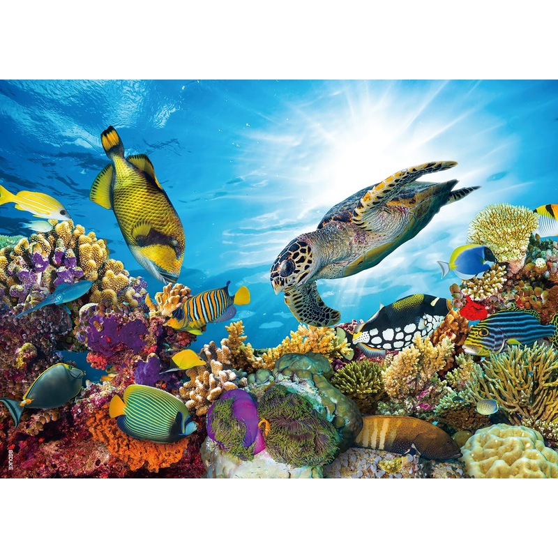 Beduke Jigsaw Puzzles For Adults 1000 Pieces Ocean Animals Thick Sturdy Cardboard Precise Interlocking 1000 Piece Puzzle Age 14+ Family Game