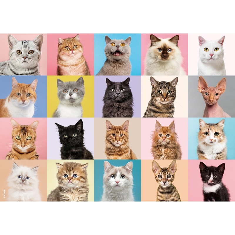 Beduke Jigsaw Puzzles For Adults 1000 Pieces Precise Interlocking Thick Sturdy Cardboard Cat Animals 1000 Piece Puzzle Family Game Age 14+