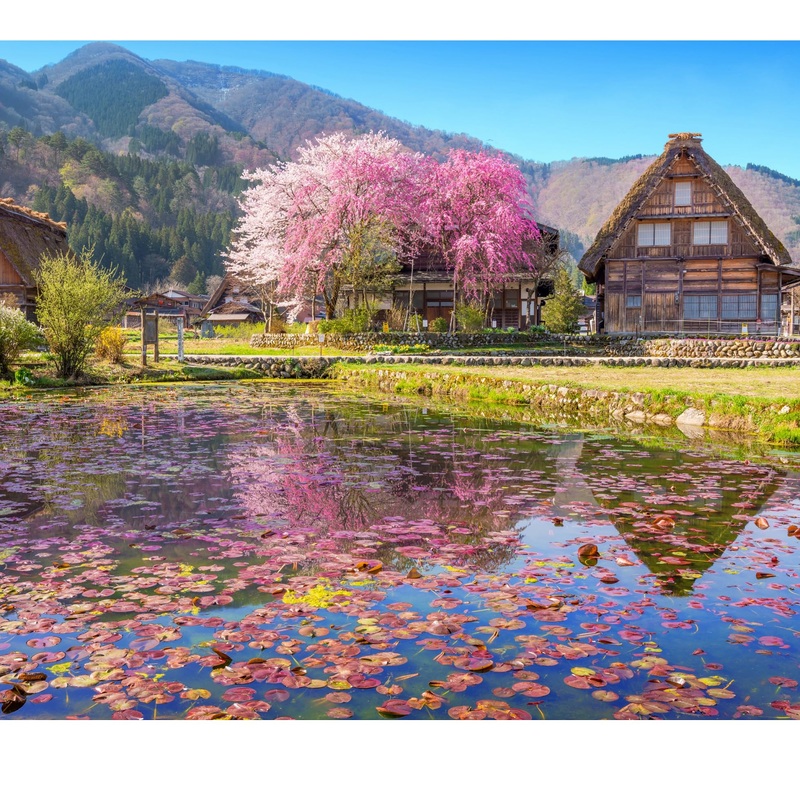 Puzzles For Adults 1000 Pieces - 20X30 In Hd Quality Landscape 1000 Piece Puzzle For Adults & Families | Sturdy 2Mm Adult Puzzle Pieces | 8 Jigsaw Puzzles Saver Sheets & Full-Sized 1:1 Poster Included