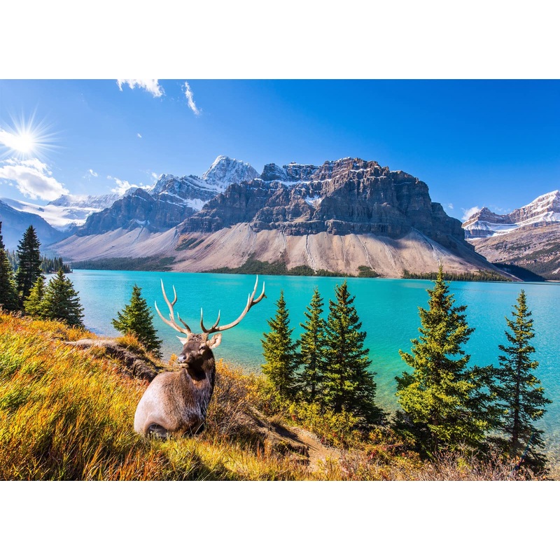 Jigsaw Puzzles For Adults 1000 Piece Puzzle For Adults 1000 Pieces Puzzle 1000 Pieces-Canadian Rocky Mountain Lake