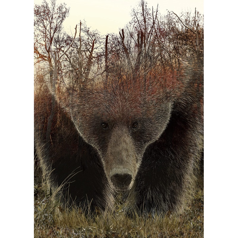 Animal Bear Jigsaw Puzzles For Adult 1000 Piece, Difficult Hard Impossible Puzzles For Adults, Nature Hunting Puzzle 1000 Piece